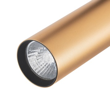 Трековый светильник Escada 20001TRA/02 BR-3