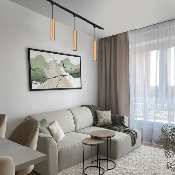 Трековый светильник Escada 20001TRP/01 BR-1