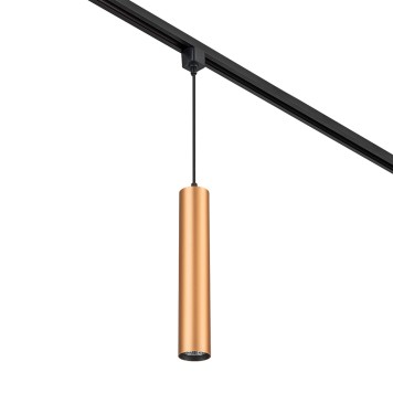 Трековый светильник Escada 20001TRP/01 BR-2