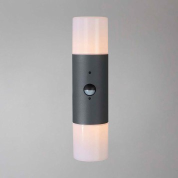 Уличный настенный светильник Escada Garden 534/2A-1