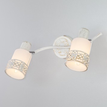 Спот Eurosvet Silvia 20025/2 Chrome