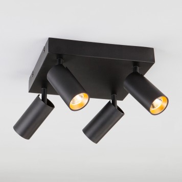 Спот Eurosvet Fleur 20066/4-2