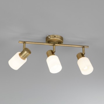 Спот Eurosvet Corso 20089/3 Bronze-4