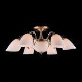 Светильник потолочный Eurosvet Ariele 22010/6+2