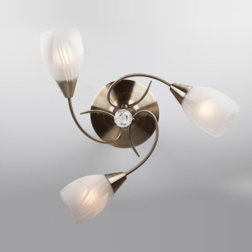 Светильник потолочный Eurosvet Virginia 30100/3 Bronze-3