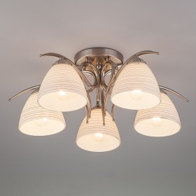 Светильник потолочный Eurosvet Megan 30121/5