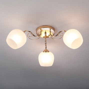 Светильник потолочный Eurosvet Wendy 30138/3-2