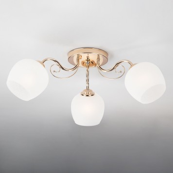 Светильник потолочный Eurosvet Wendy 30138/3