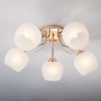 Светильник потолочный Eurosvet Wendy 30138/5-2