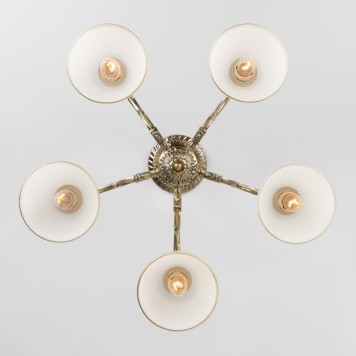 Светильник потолочный Eurosvet Caldera 60106/5-3