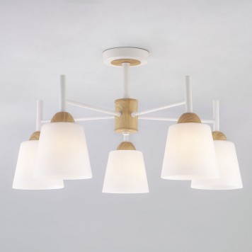 Светильник потолочный Eurosvet Fresco 70085/5