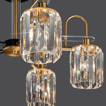 Светильник потолочный Eurosvet Tenia Smart 70090/5 Black-4