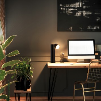 Лампа настольная Eurosvet Premier 80425/1-2