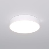 Светильник потолочный Eurosvet Entire 90319/1 White