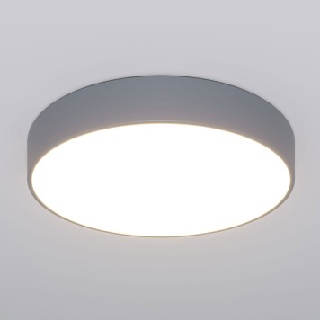 Светильник потолочный Eurosvet Entire 90319/1-2