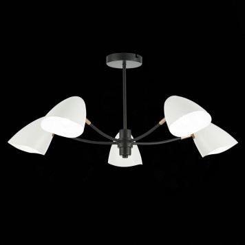 Светильник потолочный Evoluce Satta SLE103602-05-1