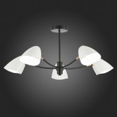 Светильник потолочный Evoluce Satta SLE103602-05