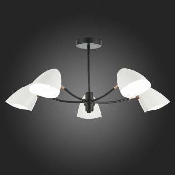 Светильник потолочный Evoluce Satta SLE103602-05