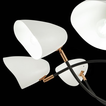 Светильник потолочный Evoluce Satta SLE103602-08-5