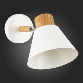 Спот Evoluce Buve SLE103701-01