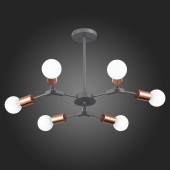 Светильник потолочный Evoluce Palare SLE106403-06