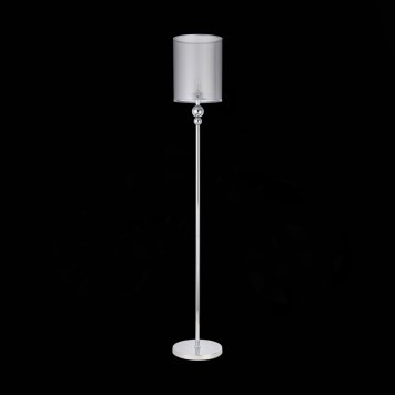 Торшер Evoluce Pazione SLE107105-01-3