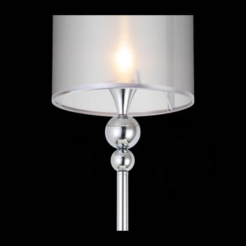 Торшер Evoluce Pazione SLE107105-01-6