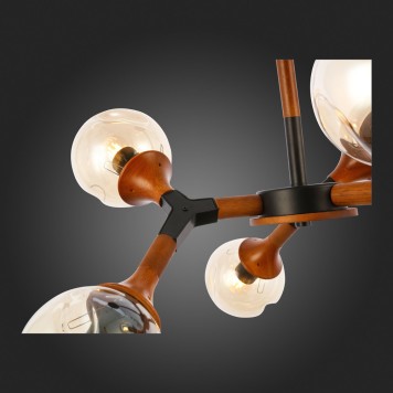 Светильник потолочный Evoluce Raquel SLE109402-06-1