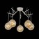 Светильник потолочный Evoluce Calletta SLE110202-05