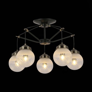 Светильник потолочный Evoluce Stricce SLE110302-05-1