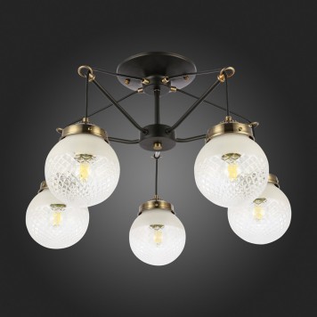 Светильник потолочный Evoluce Stricce SLE110302-05-4