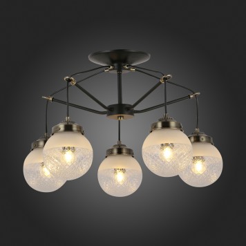 Светильник потолочный Evoluce Stricce SLE110302-05