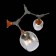 Светильник потолочный Evoluce Ciotolla SLE113402-05