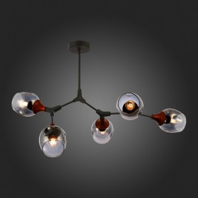 Светильник потолочный Evoluce Ciotolla SLE113402-05