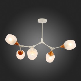 Светильник потолочный Evoluce Ciotolla SLE113502-05