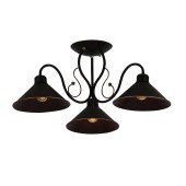 Светильник потолочный Evoluce Ciolla SLE120402-03