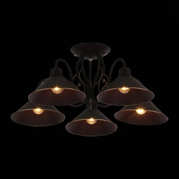 Светильник потолочный Evoluce Ciolla SLE120402-05-1