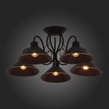 Светильник потолочный Evoluce Ciolla SLE120402-05-2