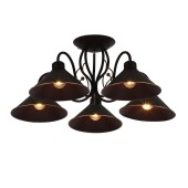 Светильник потолочный Evoluce Ciolla SLE120402-05