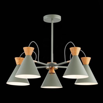 Светильник потолочный Evoluce Modica SLE125112-05-4