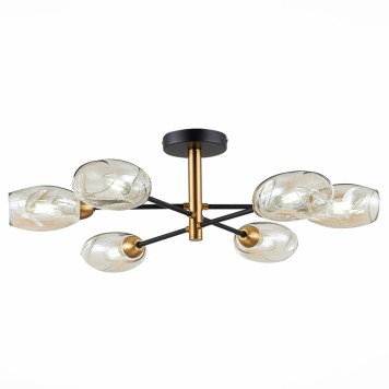 Светильник потолочный Evoluce Gloa SLE155502-06