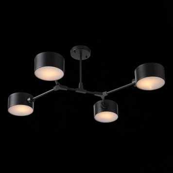 Светильник потолочный Evoluce Gimento SLE183402-04-2