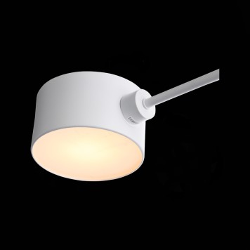 Светильник потолочный Evoluce Gimento SLE183502-04-6