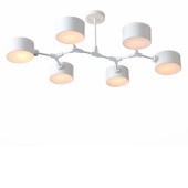 Светильник потолочный Evoluce Gimento SLE183502-06