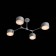Светильник потолочный Evoluce Gimento SLE183702-04