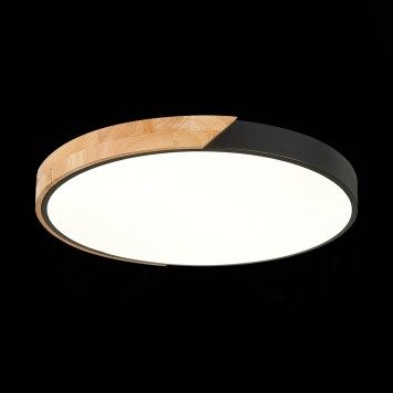 Светильник потолочный Evoluce Festa SLE200942-01-1