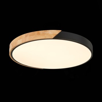 Светильник потолочный Evoluce Festa SLE200942-01-3