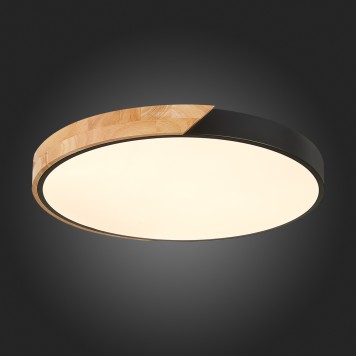 Светильник потолочный Evoluce Festa SLE200942-01-5