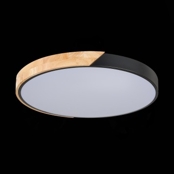 Светильник потолочный Evoluce Festa SLE200942-01-9