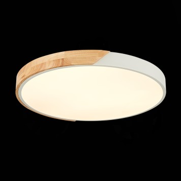 Светильник потолочный Evoluce Festa SLE200952-01-4